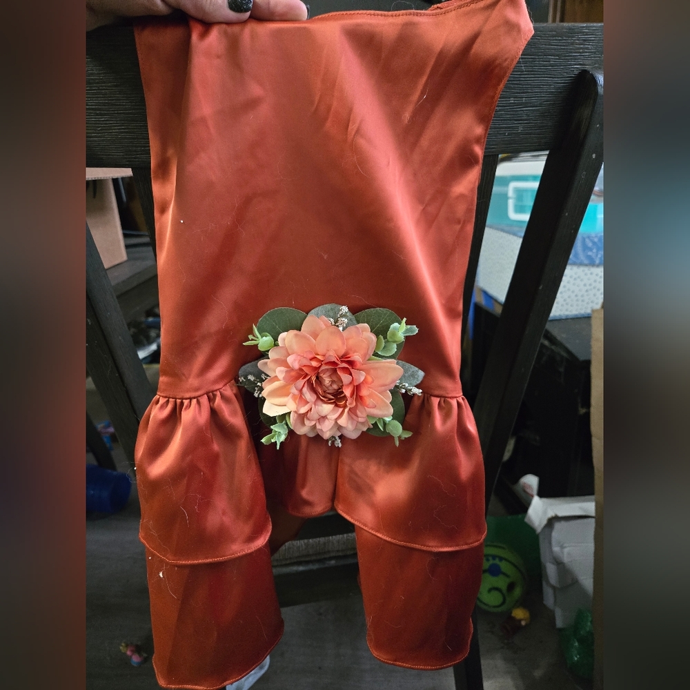 Dog dress